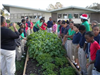 Cohn elementary students pose near school garden