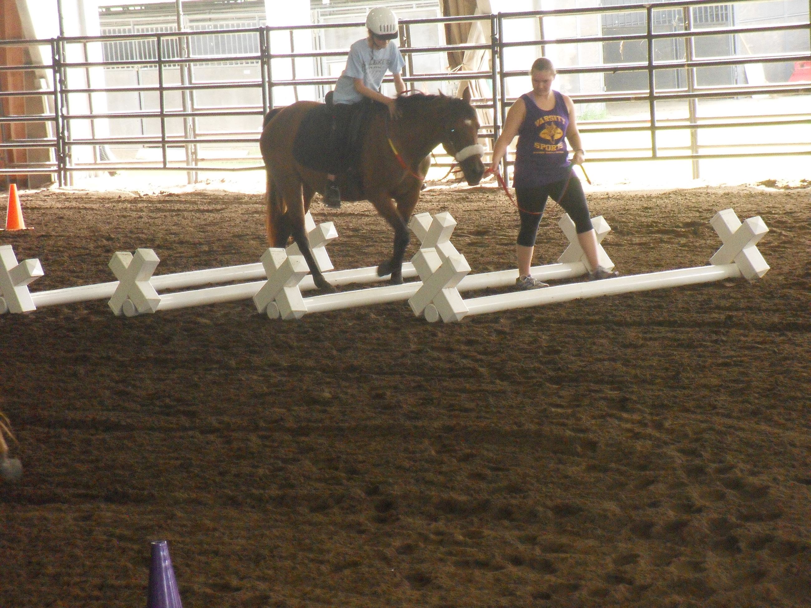 Horse trotting over wood with child riding it