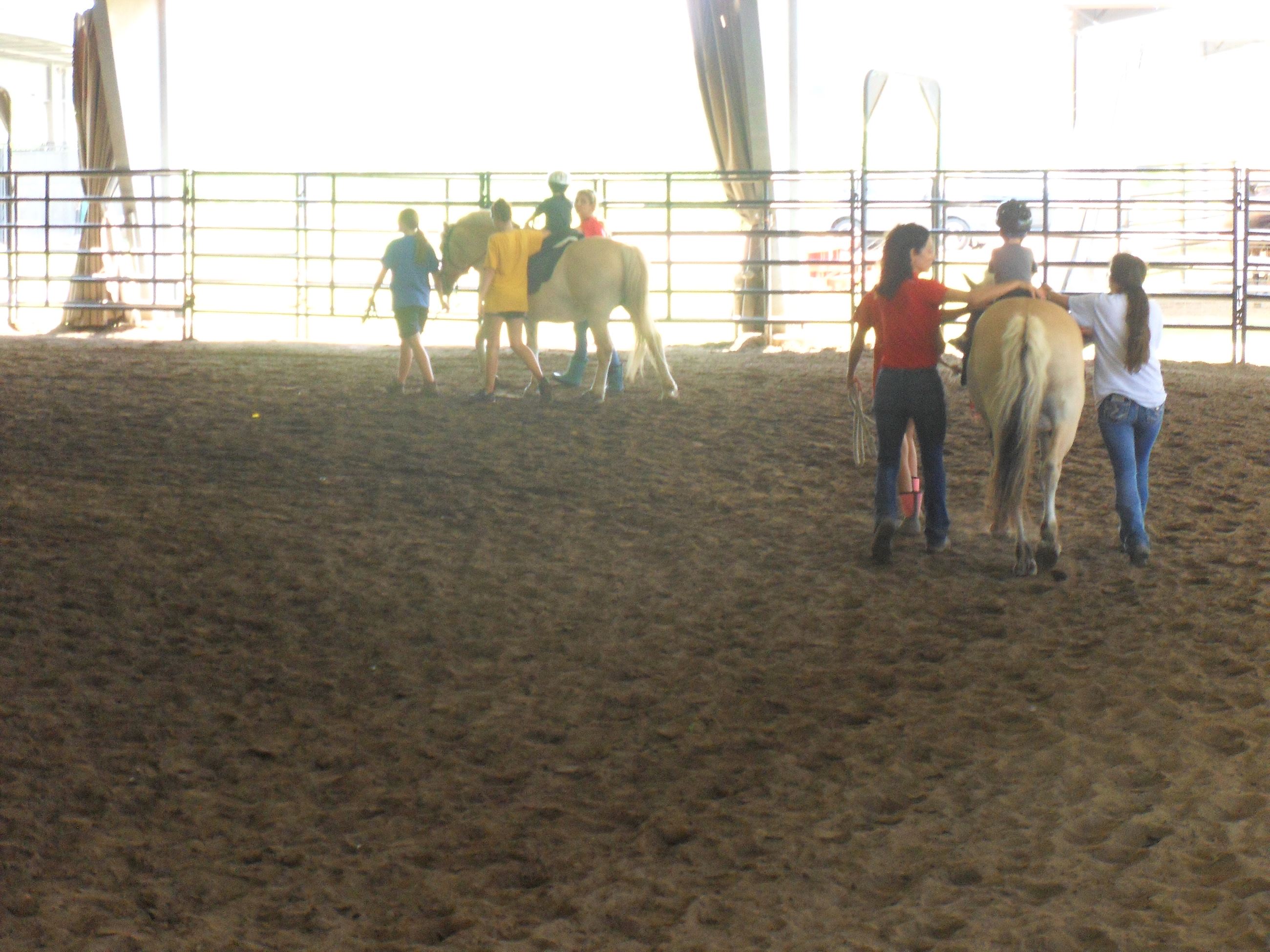 Horses walking around the arena