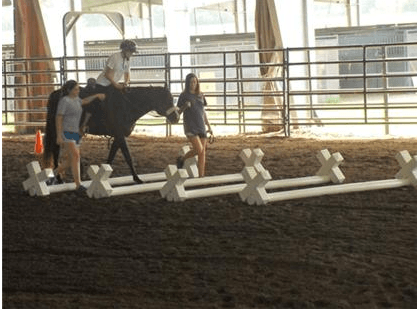 Two people walking a horse