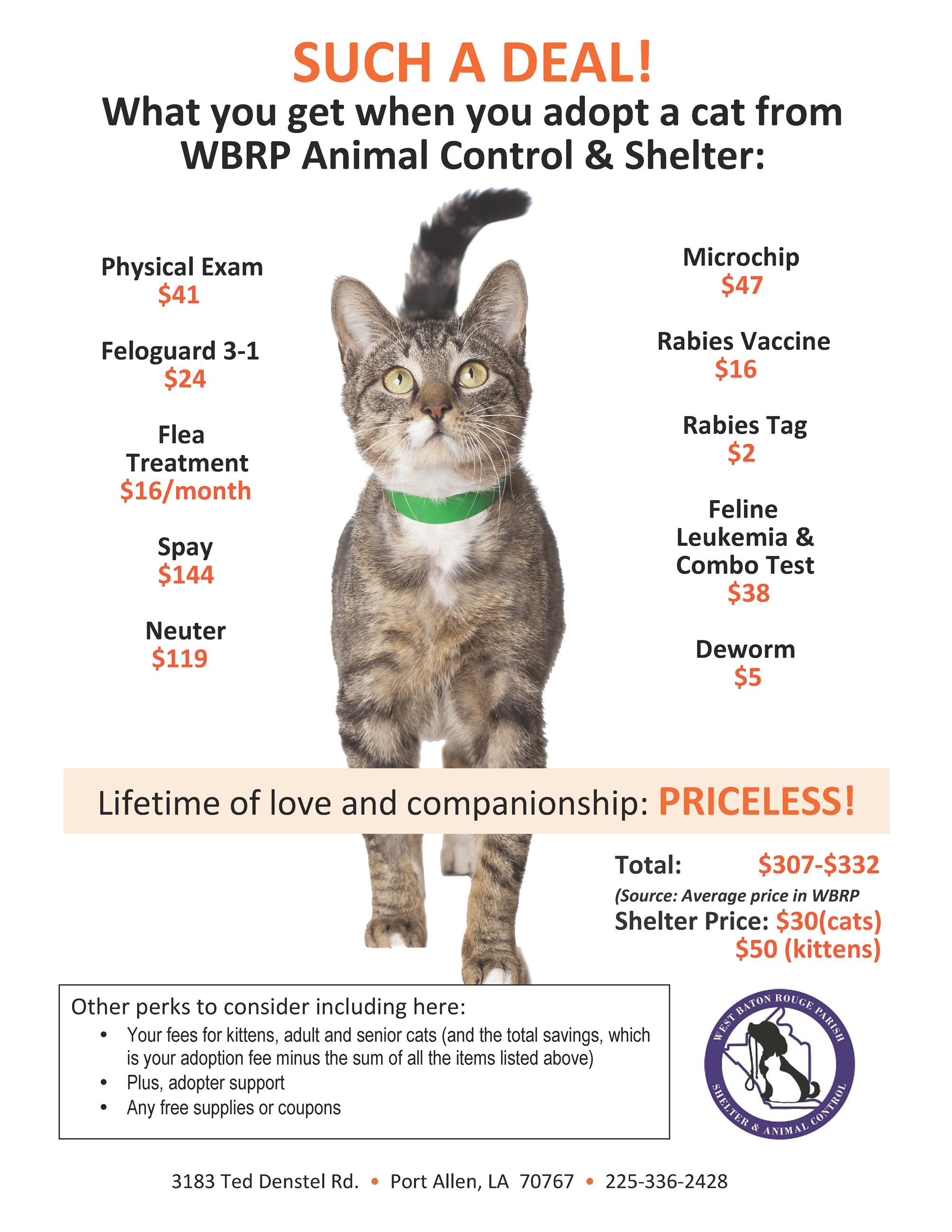 aspca-cat-adoption-flyer aspca-cat-adoption-flyer